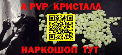 гашик Будённовск