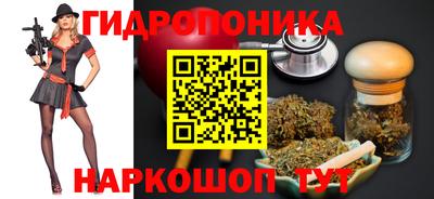 гашик Будённовск