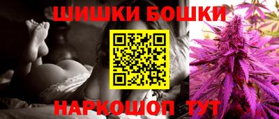 гашик Будённовск