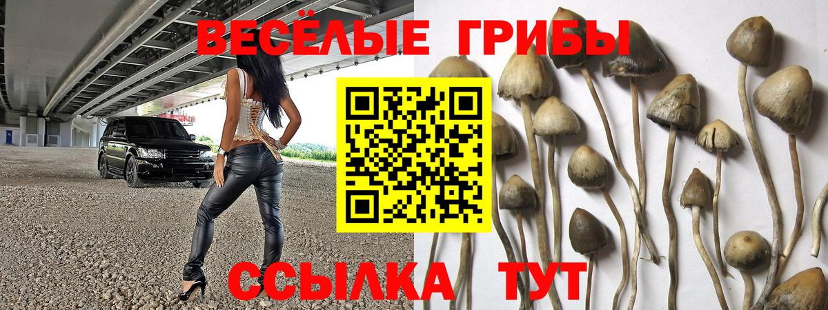 Старая Русса  Псилоцибиновые грибы MAGIC MUSHROOMS  Галлюциногенные грибы Psilocybe  Вход с VPN 